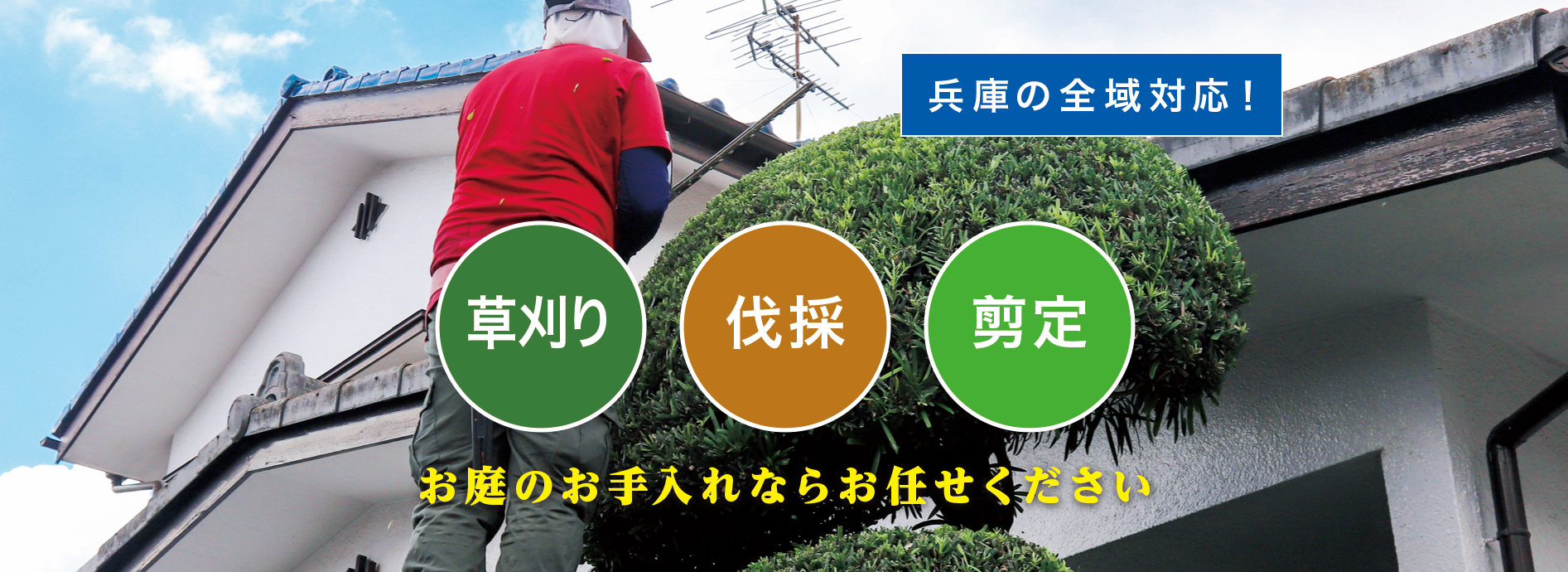 神戸市灘区で草刈り・剪定・伐採なら「お庭の大将」